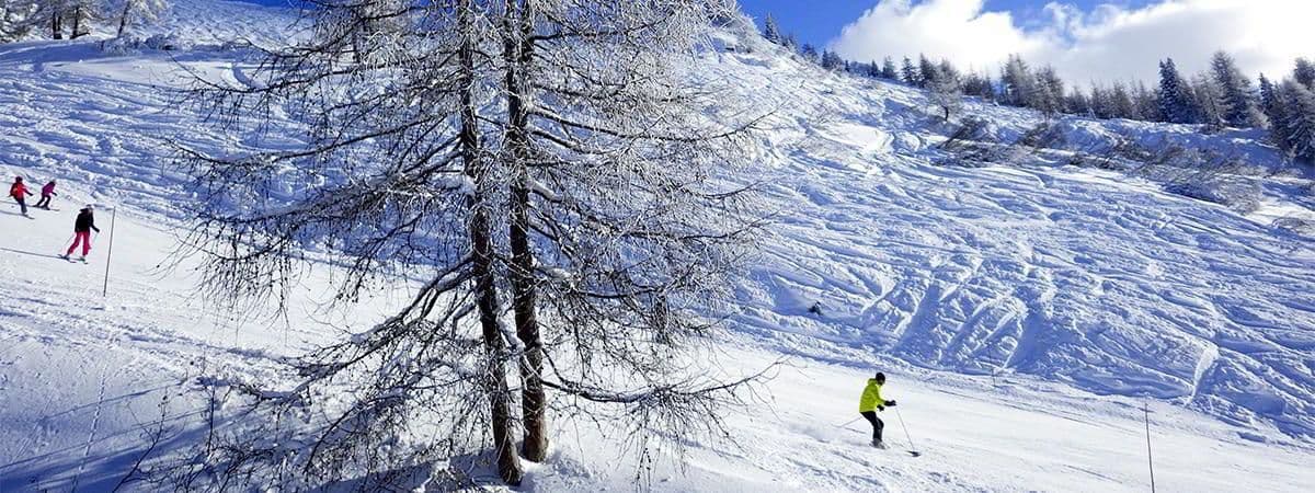 Galerie photo paysage d'hiver