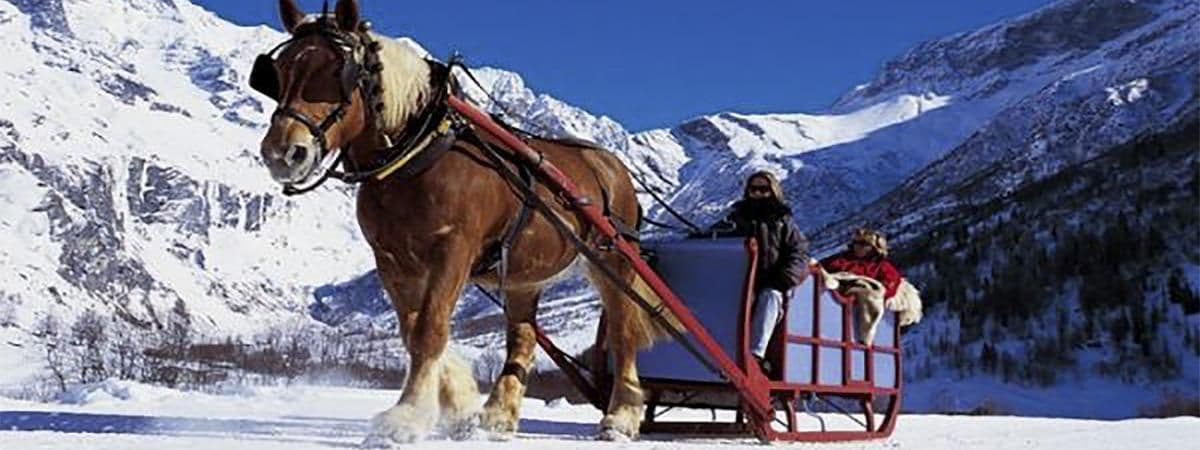 Un petite balade en traineau ?